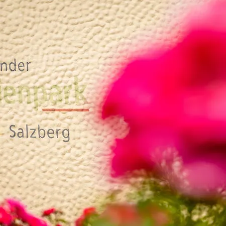 Gemuender Salzberg 슈라이덴