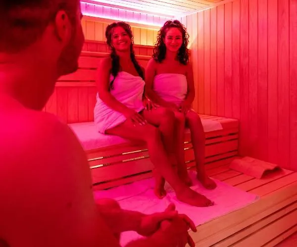 索尔兹伯格穆德弗里恩公园酒店 假日公园 施莱登